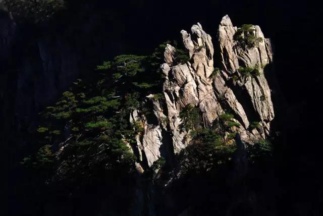 微信图片_20191224181213.jpg